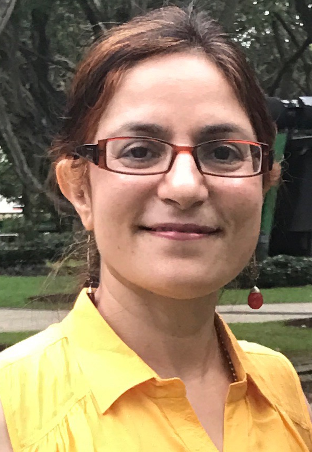 Ms Renu Wazir